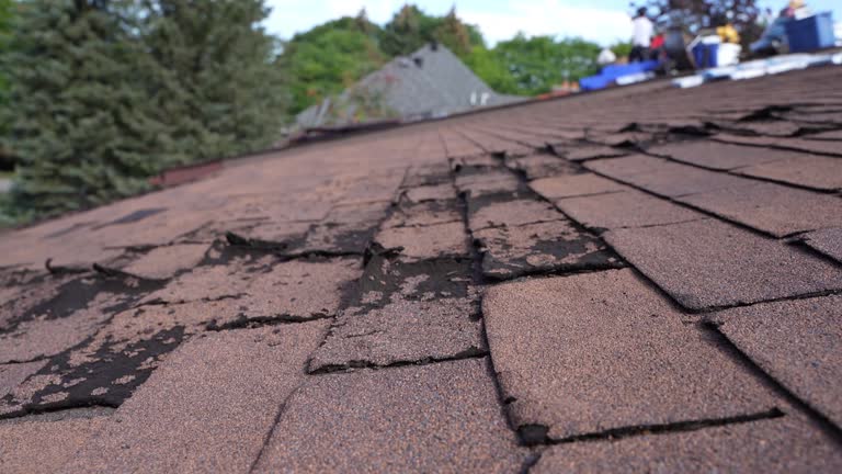 Best Chimney Flashing Repair  in Hutchinson, MN
