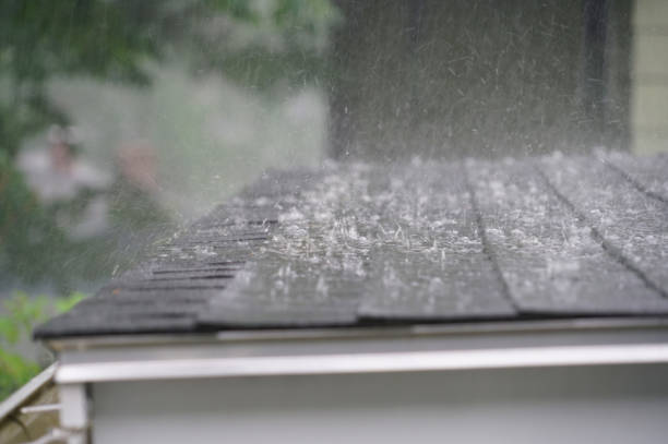 Best Commercial Roofing Services  in Hutchinson, MN