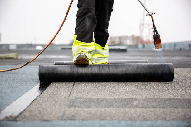 Best Roof Insulation Installation  in Hutchinson, MN