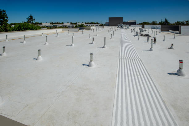 Best Asphalt Shingle Roofing  in Hutchinson, MN